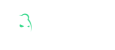 Logo Bruno casino